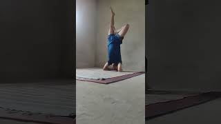 Sirsasana or Headstand  14  45 minutes selfchallenge [upl. by Stavros]