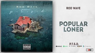 Rod Wave  Popular Loner PTSD [upl. by Nnaylime]