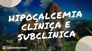 Hipocalcemia Clínica e Subclínica em Vacas Leiteiras 016 [upl. by Fay315]