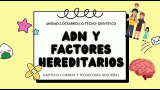 ADN Y FACTORES HEREDITARIOS [upl. by Hnim257]