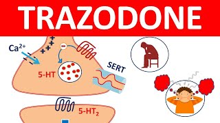 Trazodone tablets and Important Side effects [upl. by Borszcz]