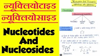 Nucleotides And Nucleosides न्यूक्लियोटाइड  न्यूक्लियोसाइड In Hindi botanyadda [upl. by Berliner]