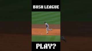 Bush League Play shorts baseball mlb [upl. by Otter]