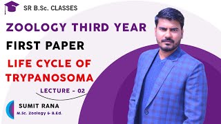 Lt02  Life Cycle Of Trypanosoma gambiense  BSc3rd Year 1st Paper [upl. by Gabriele]