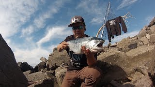 BOBBER DOWN Jetty Fishing For Coho Salmon NWanglerz CHOICE [upl. by O'Neill]