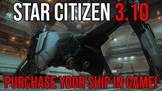 Star Citizen TLDR  310 Has Almost All The Ships Buyable in Game [upl. by Sillert533]