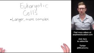 Prokaryotic and Eukaryotic Cells [upl. by Gilliam825]