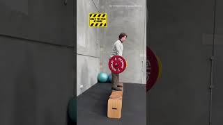 Hows strong our Paper Bench is shorts shortvideo deadlift weightlifting [upl. by Negriv]