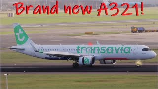 BRAND NEW Transavia Airbus A321neo Landing At Amsterdam Schiphol Airport [upl. by Fabozzi]