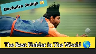 Ravindra Jadeja’s Best Catches amp Run Outs  Best Fielder in the world [upl. by Alithea]