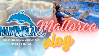 marineland mallorca dolphins show [upl. by Elatan]