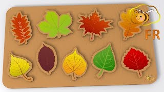 Jouets pour bébé  cassetête avec les feuilles d’automne Apprenons à reconnaître l’arbre [upl. by Choo]