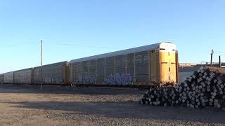 Railfanning Union Pacific at Fairbury Nebraska April 2021 [upl. by Aicekal]