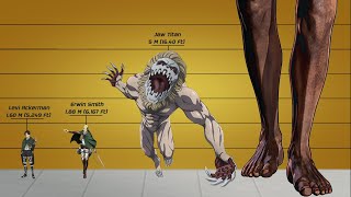 All Attack on Titan Characters Heights Comparison  AOT Titans amp Humans Size Differences [upl. by Annaeiluj468]