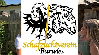 80 Jahre Schafzuchtverein Barwies  Jubiläumssausstellung Verpflegung [upl. by Ihcehcu]