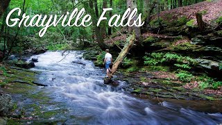 Grayville Falls [upl. by Clovis588]