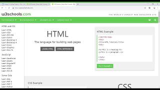 W3Schools Online HTML Tutorial [upl. by Cathey]