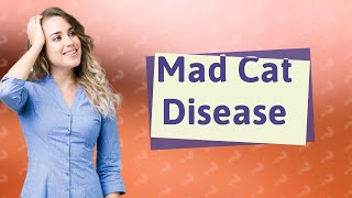 What is the mad cat disease [upl. by Orvas]