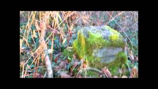 Saint Annes Cemetery near Sumas Washington [upl. by Ahsieuqal244]