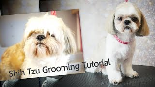 PetGroooming  Shih Tzu Grooming from start to finish 91 [upl. by Atsillak]