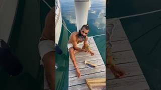 How to Get a Conch Out of Its Shell shorts short sailingadventures [upl. by Ragde]