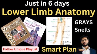 Lower Limb in 6 Days  HNML lowerlimb [upl. by Euginimod8]