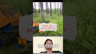 Machine Pembasmi Rumput Liar machine [upl. by Nazar846]