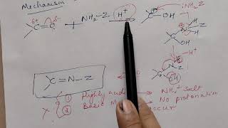 Nucleophilic Addition Elimination Reaction Add Of Ammonia amp its Derivatives [upl. by Ingeberg]