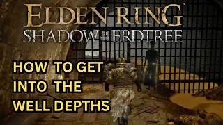 ELDEN RING DLC How to Get into the Well Depths [upl. by Odidnac]