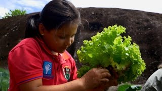 Beneficios de las Huertas Escolares  TvAgro por Juan Gonzalo Angel [upl. by Hollie]