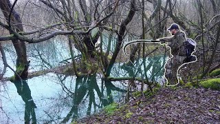 The Forgotten Pond Flooded The Fish Were EVERYWHERE [upl. by Eelyram]