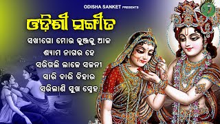 Shyama Naagara He  Latest Super hit Odissi Song  Audio Jukebox  Odisha Sanket [upl. by Bridge]