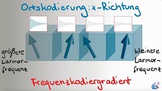 Ortskodierung für 2DMRTBilder [upl. by Enirhtak745]