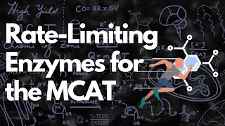 RateLimiting Enzymes and Their Regulation  MCAT [upl. by Aicnerolf]