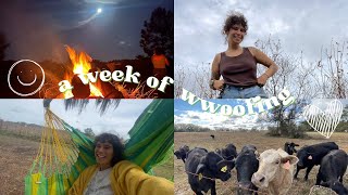 A week of WWOOFing  new friends explorations fun stuff ☀️🐄🍄🌝 [upl. by Lani]