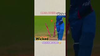 Wicket wicket wicket [upl. by Anoiuq]