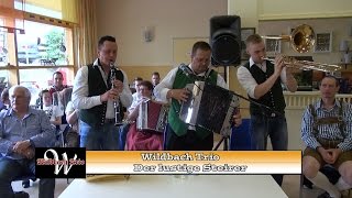 Lustiger Steirer  Wildbach Trio [upl. by Ahsias342]