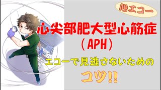 APH心尖部肥大型心筋症を見逃さないエコーの撮り方、見かた！【心エコー】（再掲） [upl. by Acinahs]