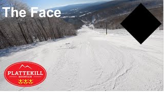 Skiing The Face at Plattekill Mountain Mar 4th 2023 [upl. by Clovis]