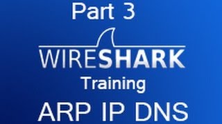 Wireshark Training  Part 3 Find IPARPDNSTCPMAC [upl. by Musser]