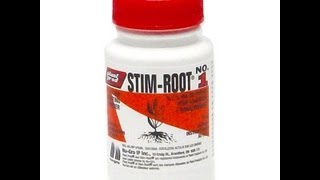 Stim Root Powder Hormone [upl. by Cookie]