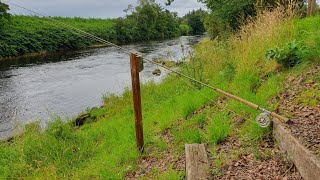 salmon fishing kinkell bridge river earn scotland [upl. by Vannie]