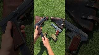 Which Would You Choose  Radom VIS 35 vs Tokarev TT [upl. by Laurentia682]