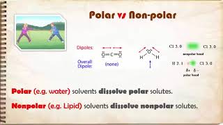 003 Cell Biology Cell Membrane  علم الخلايا  غشاء الخلية [upl. by Rock5]