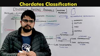 3 Fundamental CHORDATE Characters Phylum Chordata [upl. by Ohare539]