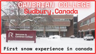 Cambrian College Sudbury Ontario First Snow  Cambrian College International Student  Nepali [upl. by Ingaberg739]