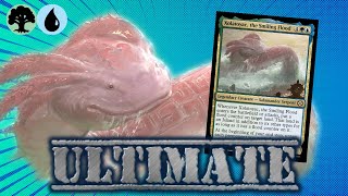 SIMIC VALUE Xolatoyac the Smiling Flood  Ultimate Deck List  The Lost Caverns of Ixalan  EDH [upl. by Isaak578]