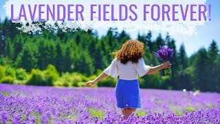 Oregon Lavender Festival 2019 at The Oregon Lavender Farm  My Oregon Adventures [upl. by Klusek169]