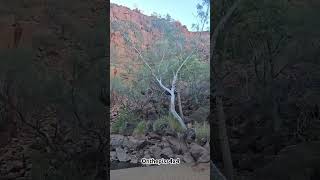 Python Pool in the Chichester National Park Pilbara region Western Australia onthepiss4x4 [upl. by Ecirtahs]