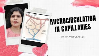 Microcirculation in Capillaries ll Transcapillary Exchange ll Cardio vascular system ll [upl. by Marcin]